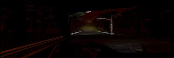 Liar's Dice video 4