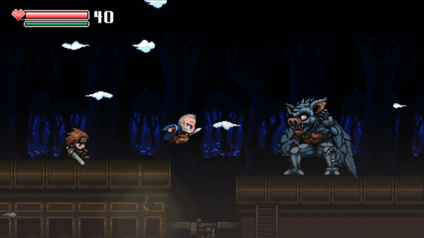 Castle In The Darkness 2 screenshot 2
