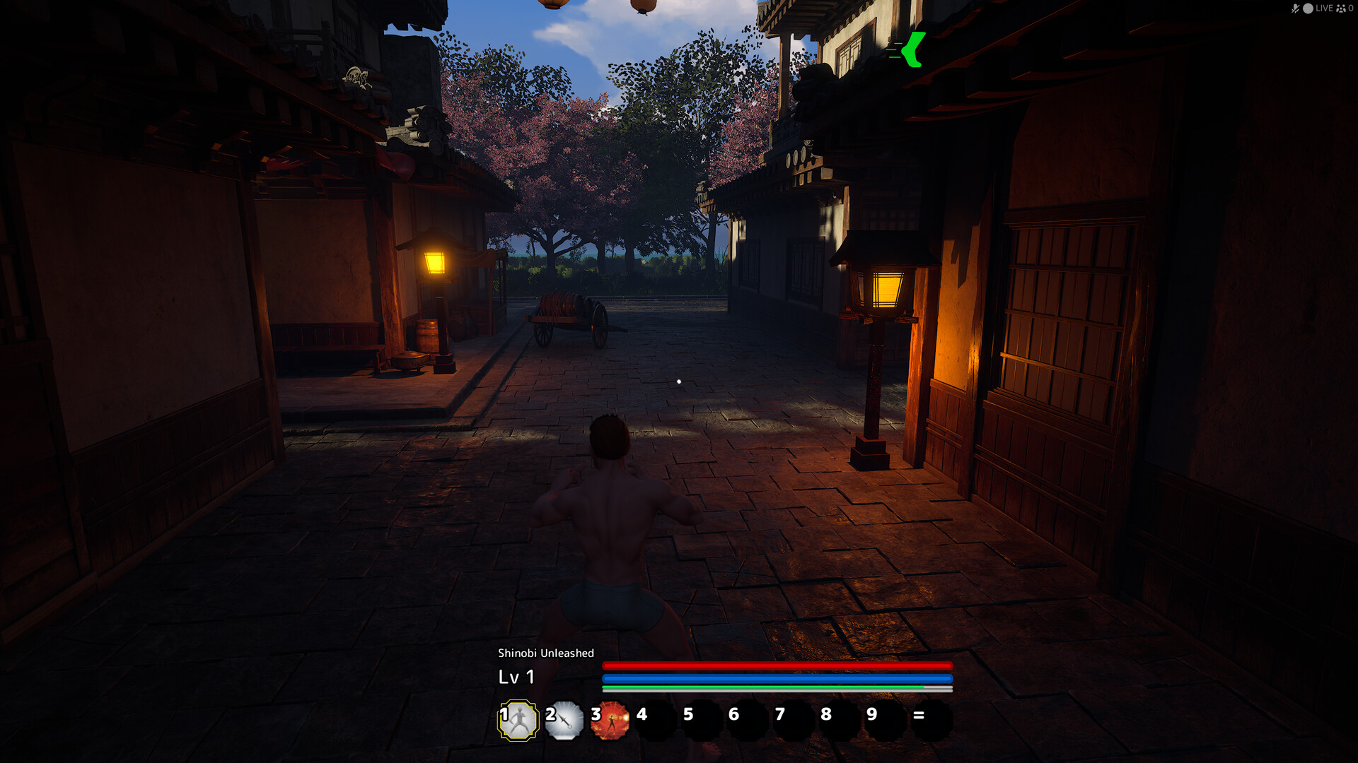Shinobi Unleashed screenshot #4