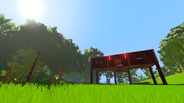 Thumbnail 12