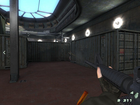 FSKN game for Linux 1