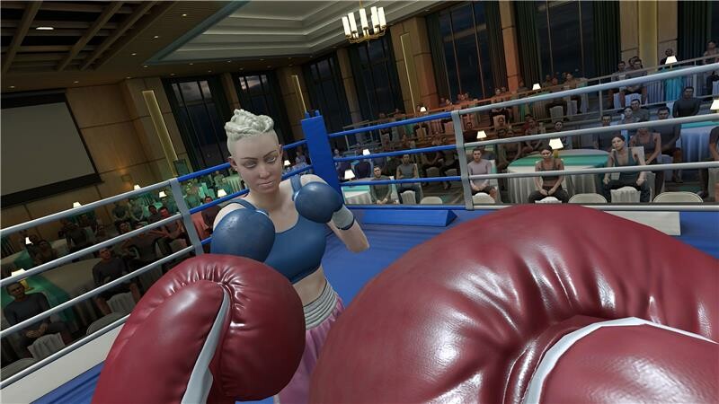 The Thrill of the Fight 2 Spectator screenshot 3