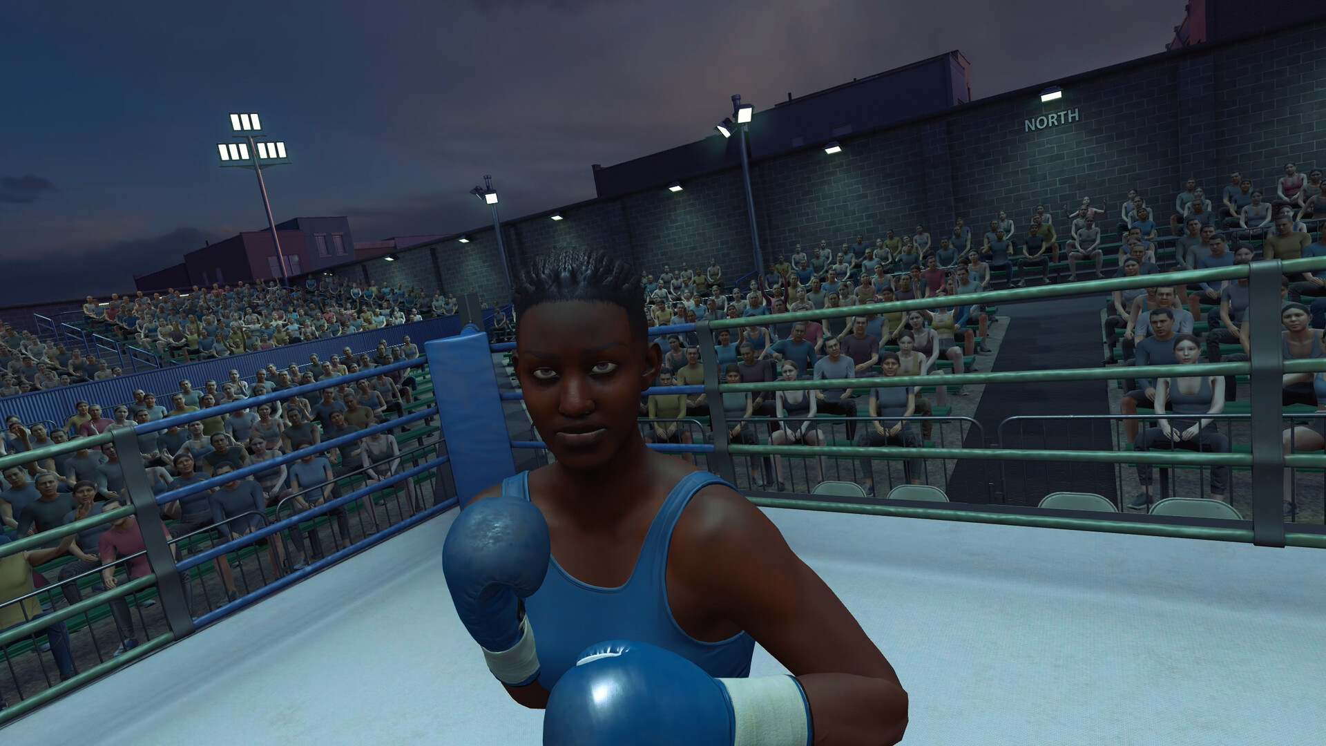 The Thrill of the Fight 2 Spectator screenshot 5