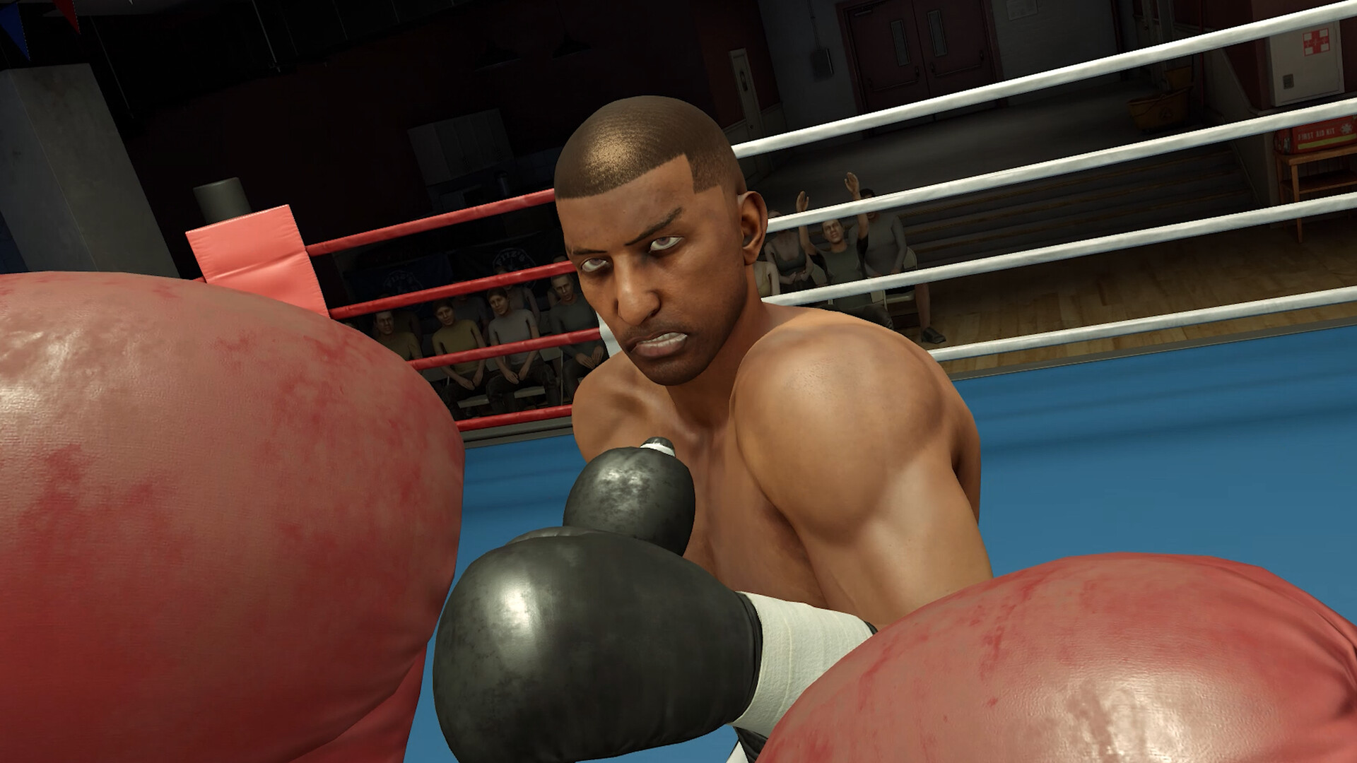 The Thrill of the Fight 2 Spectator screenshot 4