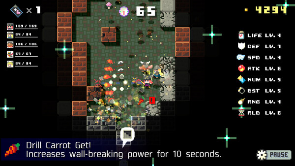 DUNGEON RAZE