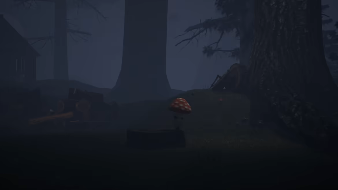 MycelPIPI video 4
