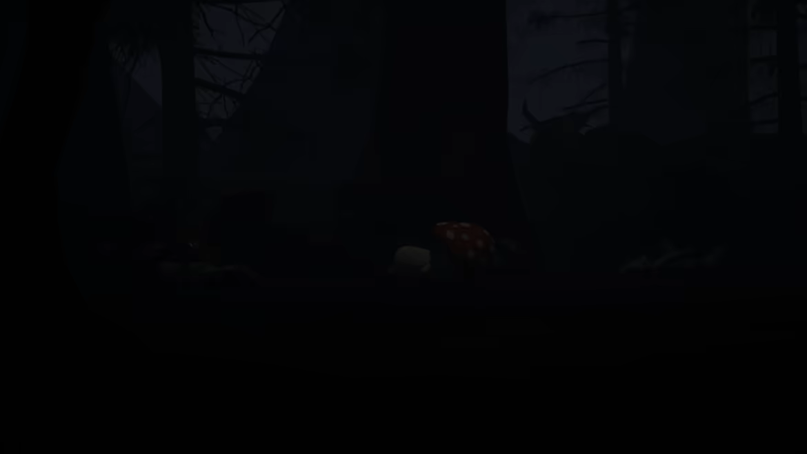 MycelPIPI video 2
