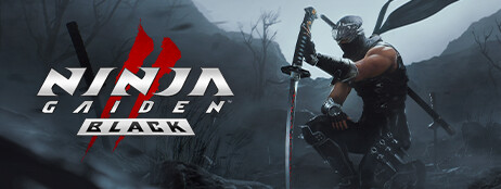 NINJA GAIDEN 2 Black cover art