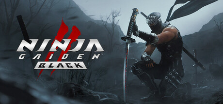 NINJA GAIDEN 2 Black cover image