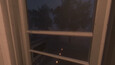 Screenshot #16