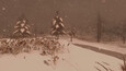 Screenshot #7