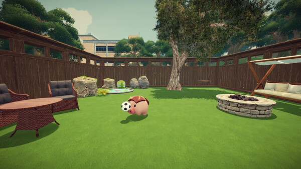 Thumbnail 11