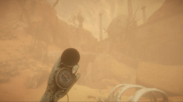 Thumbnail 11