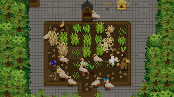 Tiny Terraces Demo
