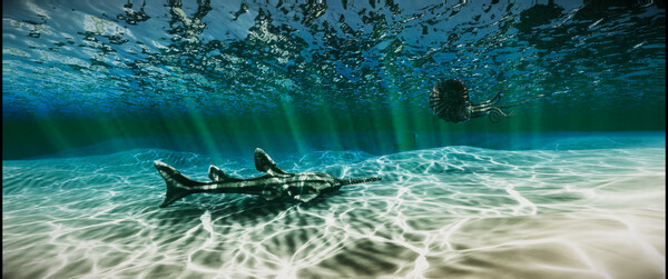 Скриншот 18