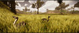 Screenshot #5