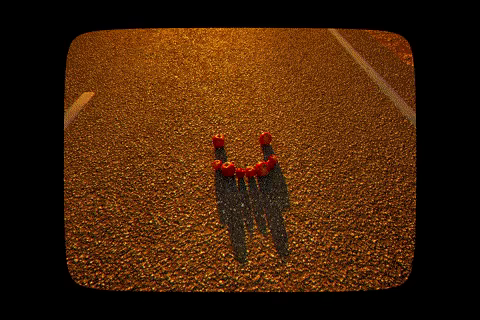 Dead Apples Dare video 6