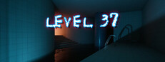 LEVEL 37