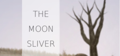 The Moon Sliver banner image