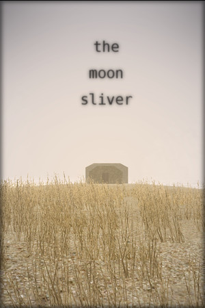 Cover art of The Moon Sliver