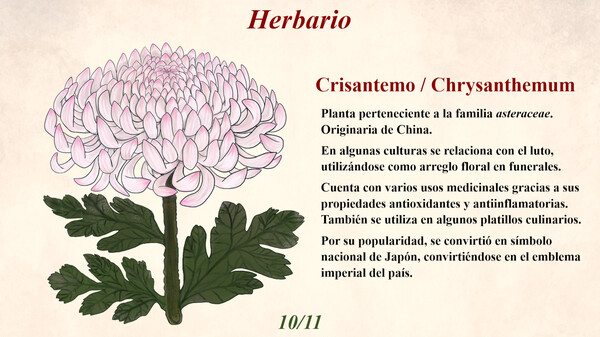 Blumenia - Historias de un Mundo de Plantas screenshot 5