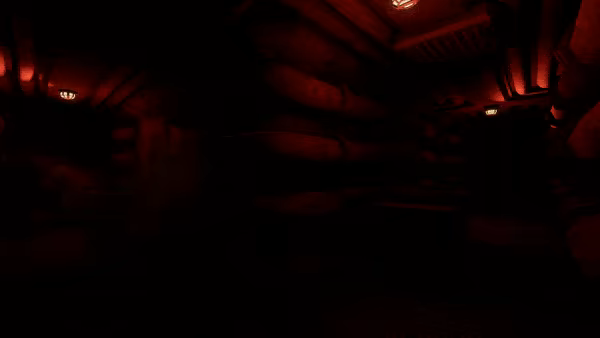 Recovery Sierra video 2