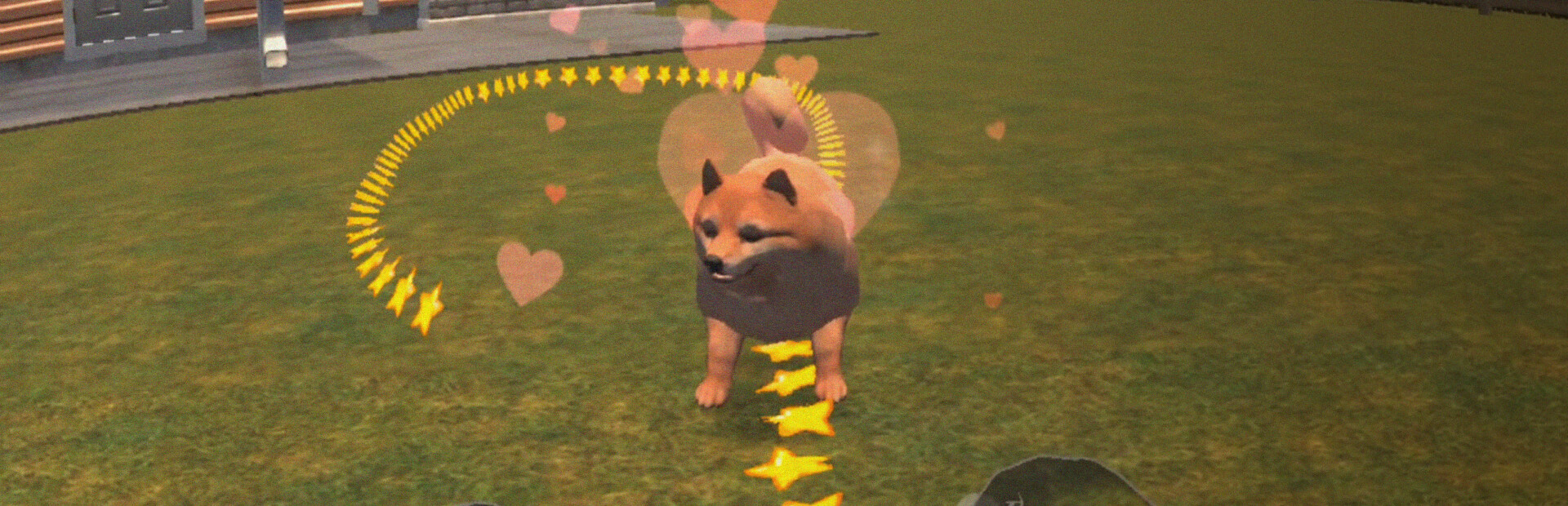 PET TOWN