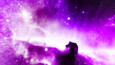 Screenshot #16