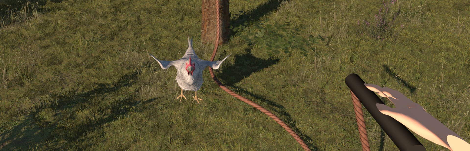 Go! Chicken Jump!