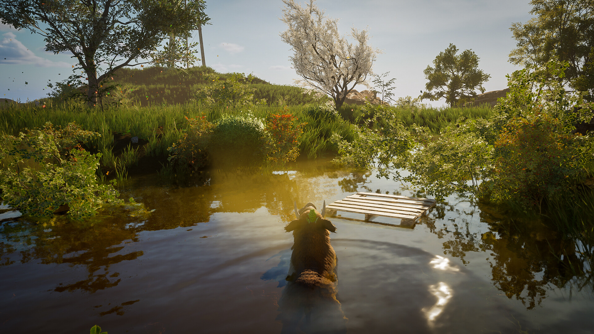 Wild Terrain screenshot #6