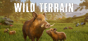 Wild Terrain