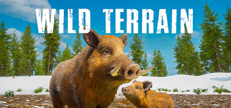 Wild Terrain cover art
