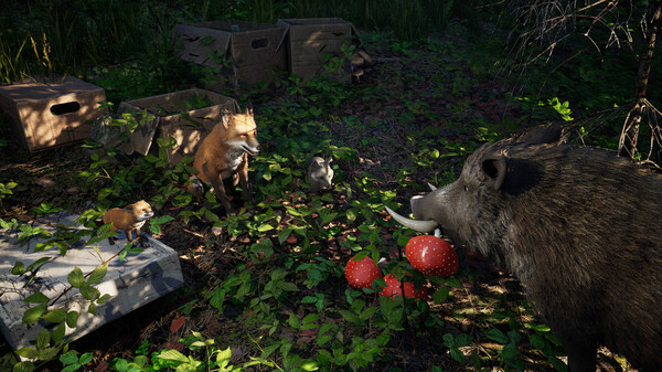 Wild Terrain screenshot 3