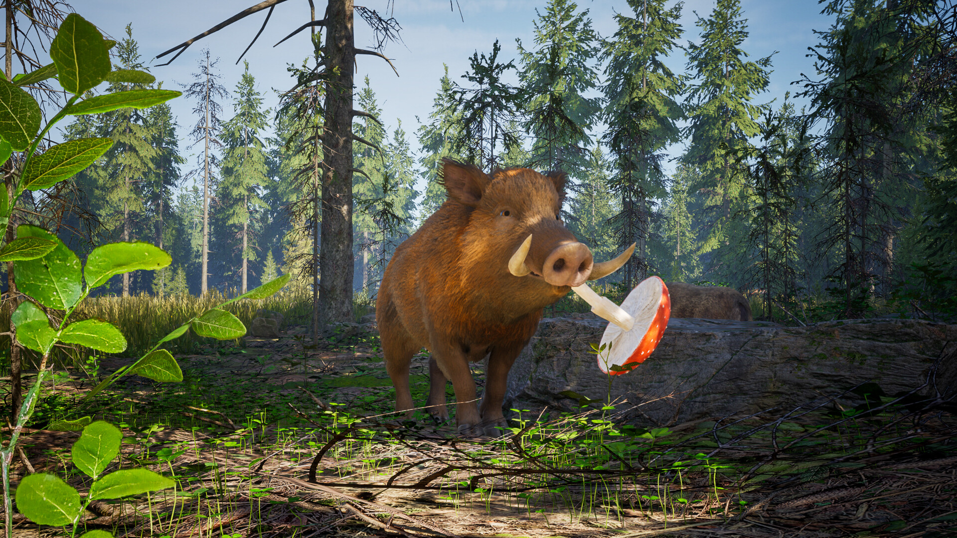 Wild Terrain screenshot #8