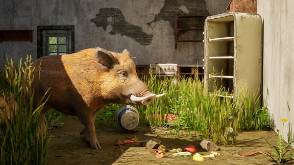 Wild Terrain screenshot 5