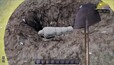 Screenshot #7