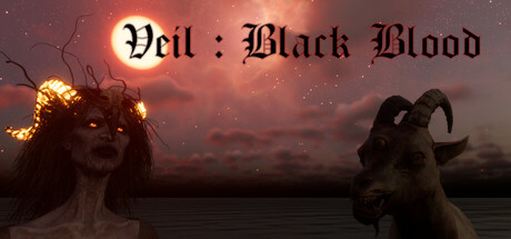 Veil cover art