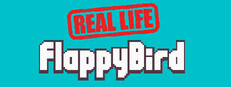 Real Life Flappy Bird