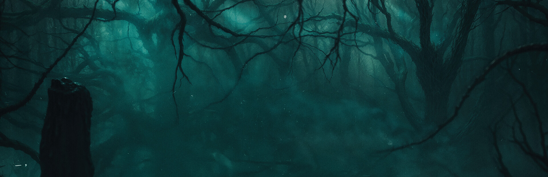 An Empty Void