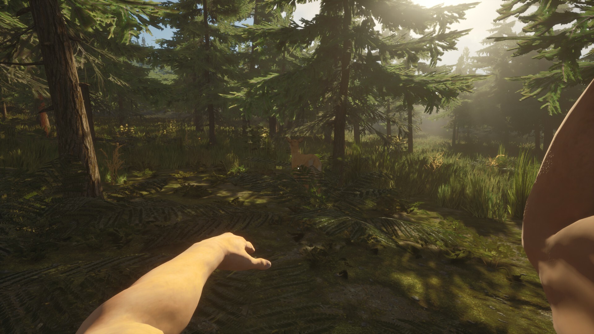 Winter is coming screenshot 1