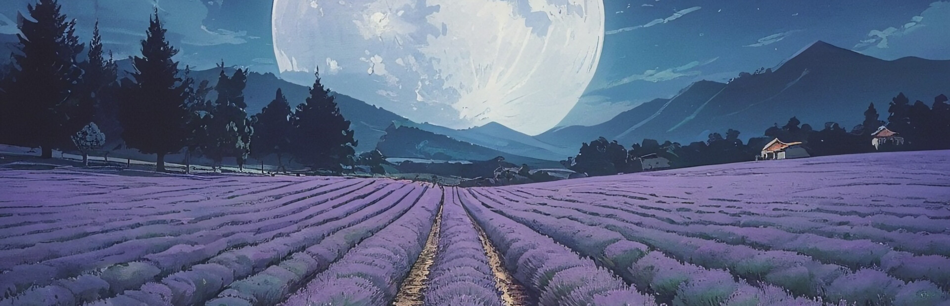 Lavender Dream