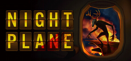 Poster Night Plane