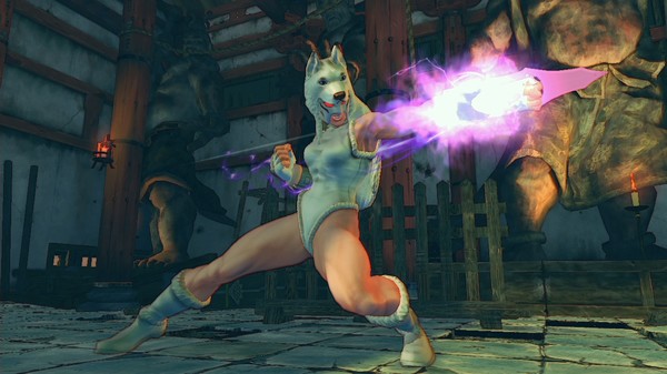 USFIV: 2014 Challengers Wild Pack