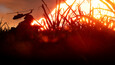 Screenshot #1