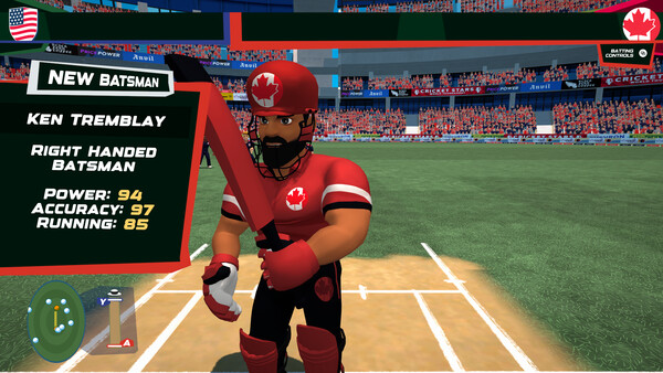 Don Bradman Cricket Jr
