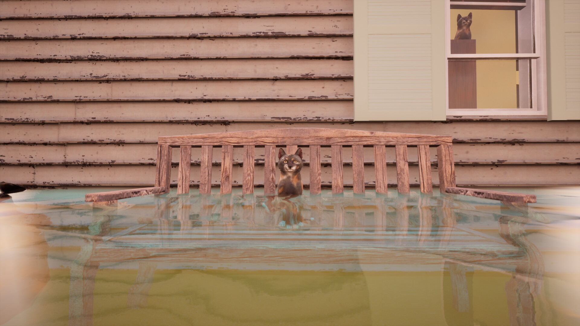 Ninja Cats screenshot #11