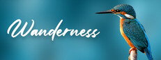 Wanderness
