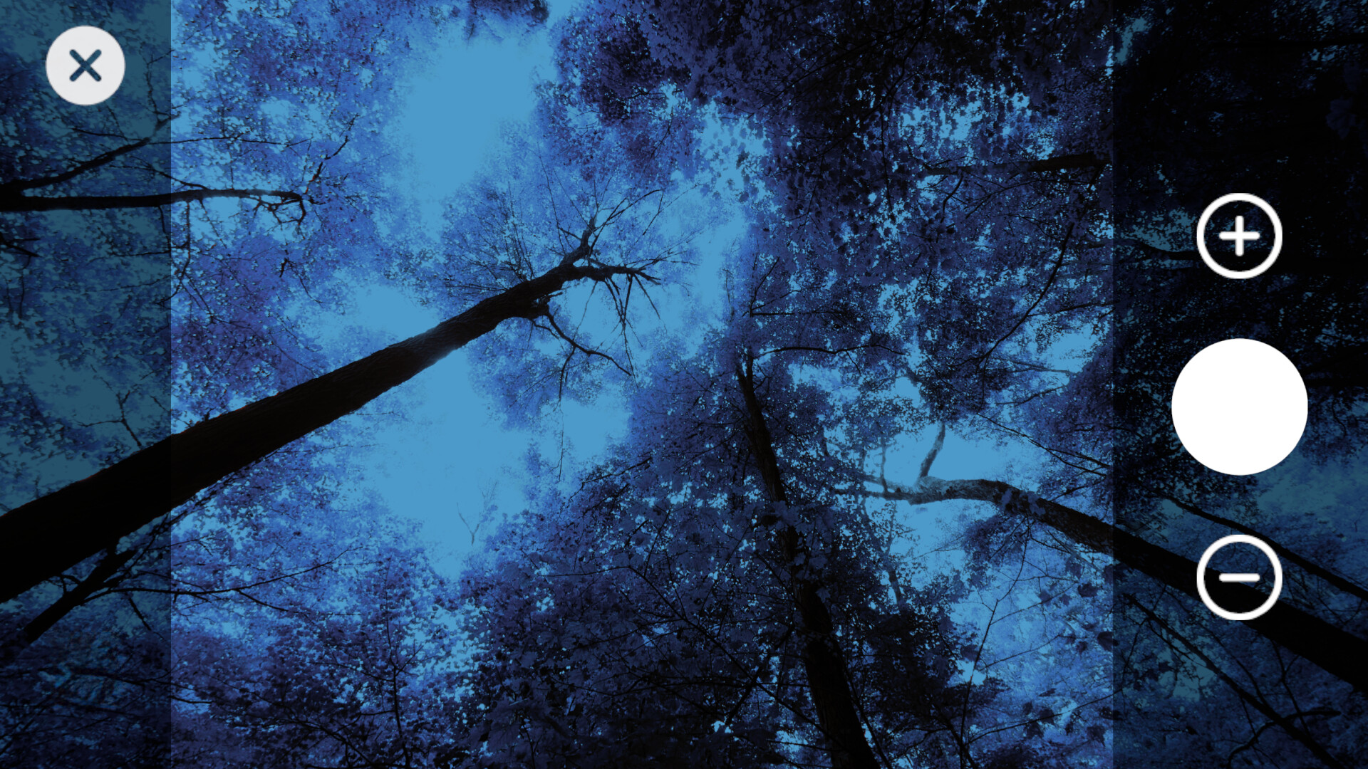 Wanderness screenshot #4