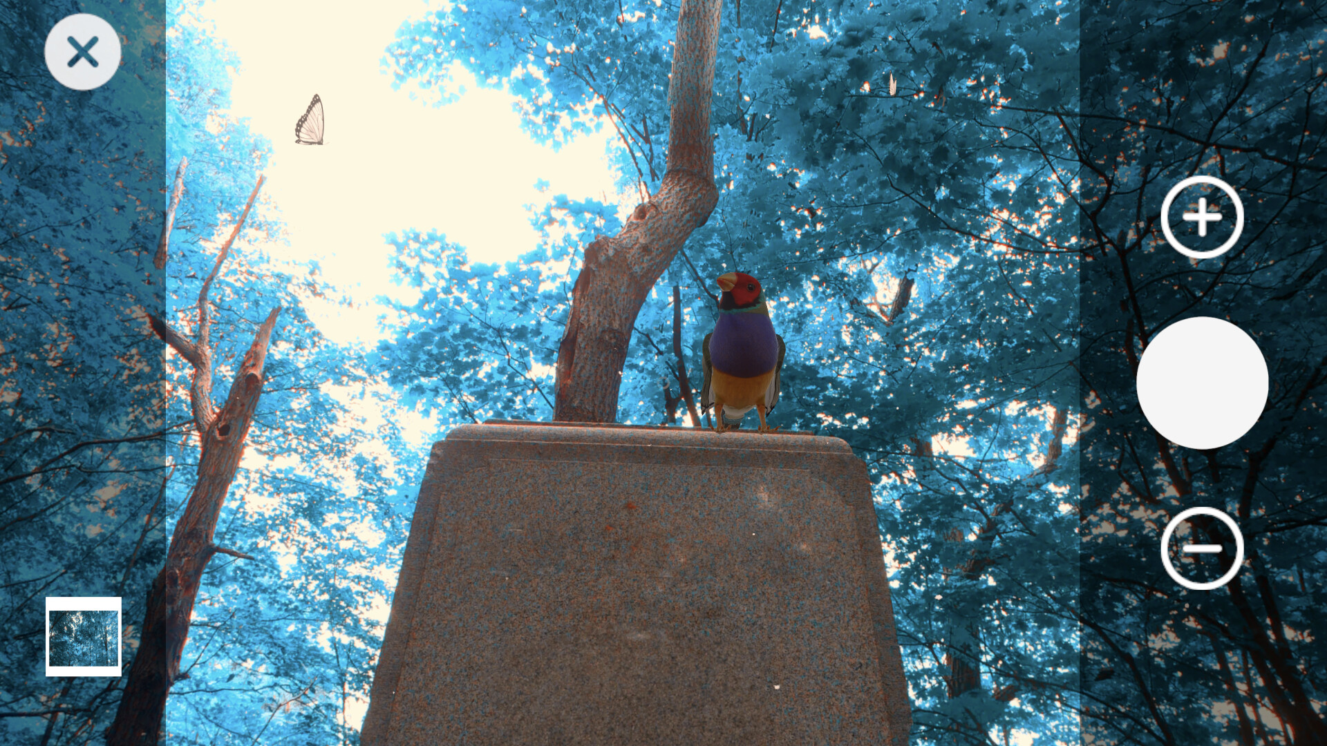 Wanderness screenshot #5