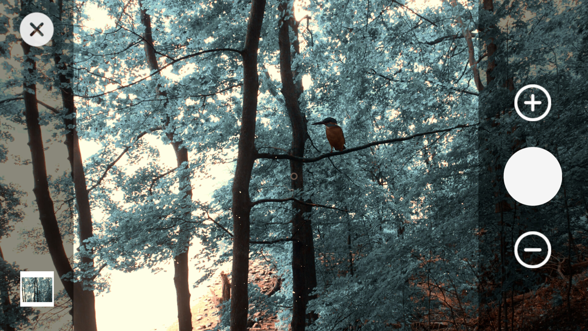 Wanderness screenshot #3
